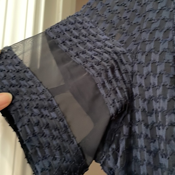 Banana Republic Lace Sheer Panel Dress - Picture 5 of 9